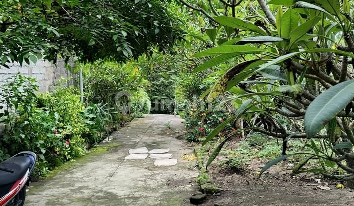 Tanah 7,45 Are Lokasi Tenang dan Nyaman Dijual, di Klungkung Area