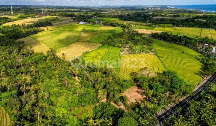 Tanah 37 Are Dekat Pantai Soka Dijual, di Tabanan