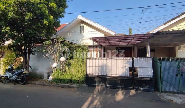 Kuricang Bintaro Bagus Fresh Asri Hommy