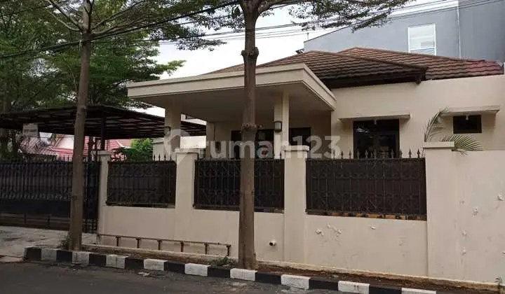 Pisok Bintaro Bagus Khusus untuk Rumah Tangga