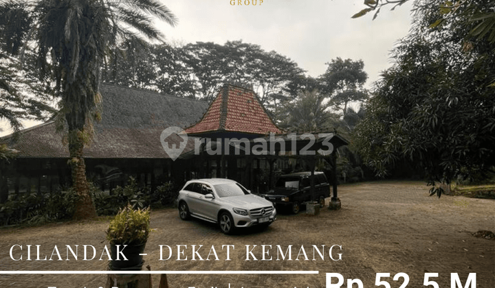 Tanah Luas 5.555m2 Bonus Bangunan Etnik Dekat Kemang Raya