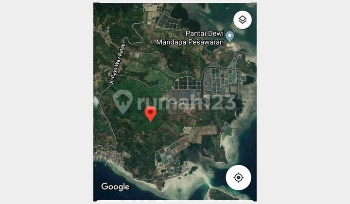 Tanah Kebun Seluas 70 Ha, Hak Milik di Padang Cermin, Lampung