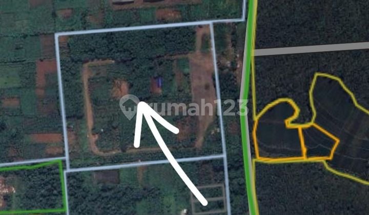 Tanah Subang Cocok untuk Perumahan