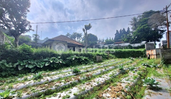 Tanah Lembang Cocok Berkebun Vila