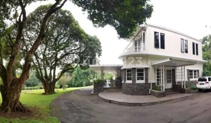 Rumah Ciumbuleuit Classic Besar Cocok Rumah Cafe