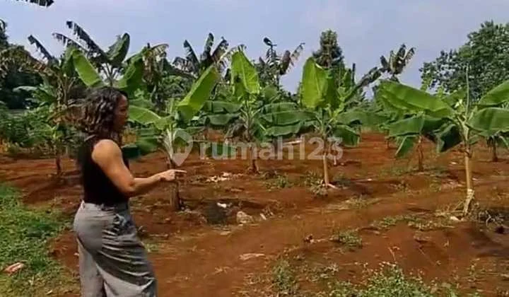 For Sale Freehold Land 20500M Negotiable Until Deal