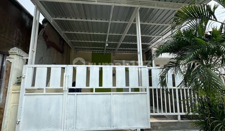 Under 1M Gress Pandugo Siap Huni Dekat Merr