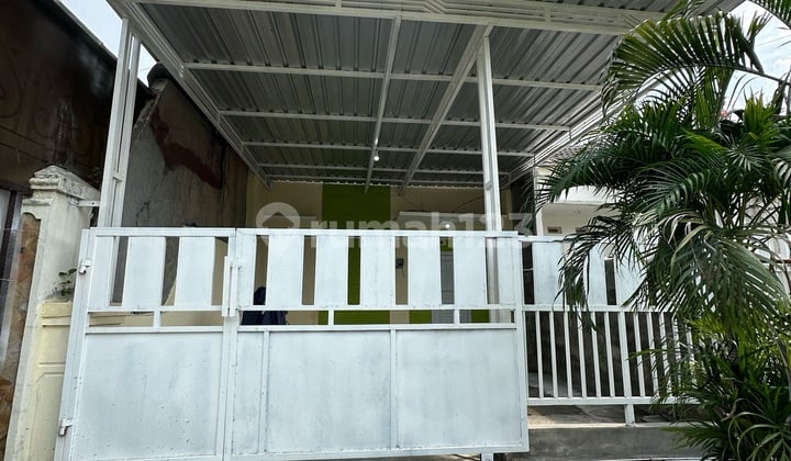 Under 1M Gress Pandugo Siap Huni Dekat Merr