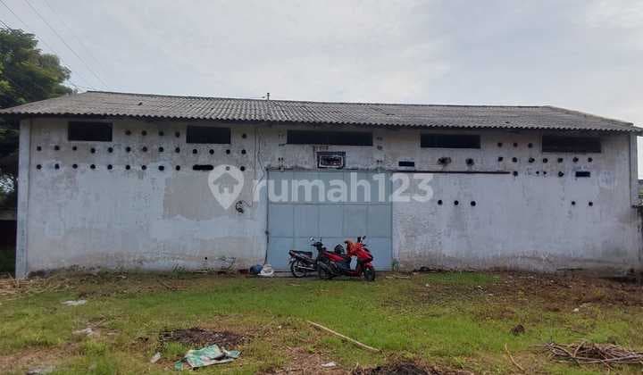 Owner Bu Gudang Hitung Tanah Paiton Sukodadi