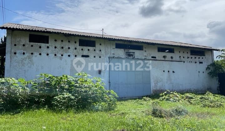 Gudang Hitung Tanah Probolinggo Paiton