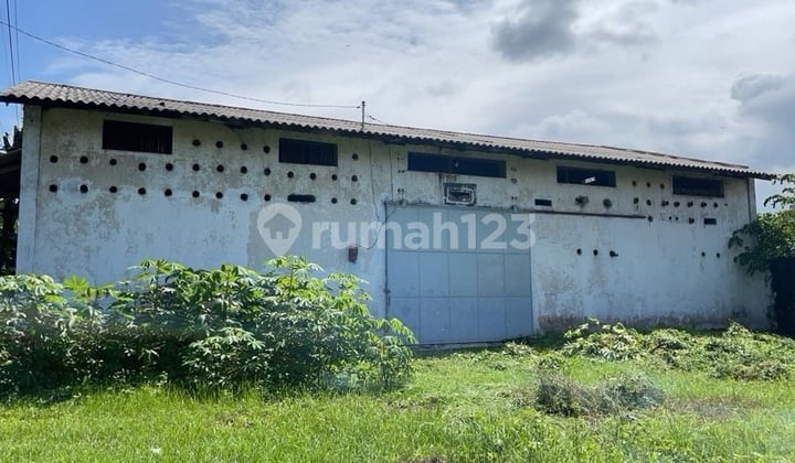 Gudang Hitung Tanah Probolinggo Paiton