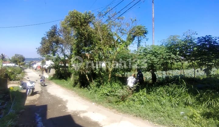 For Sale Cheap Land By The Road Below Market Price In Jayagiri Lembang