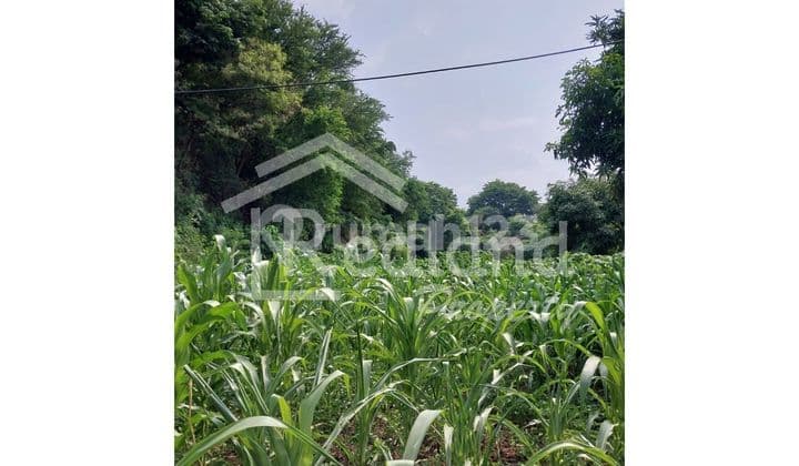 Tanah di Jl Raya Kaliwungu , Kendal ( Jo 8553 )