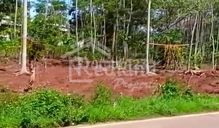 Tanah di Kedungsari Singorojo , Kendal Lk 4666