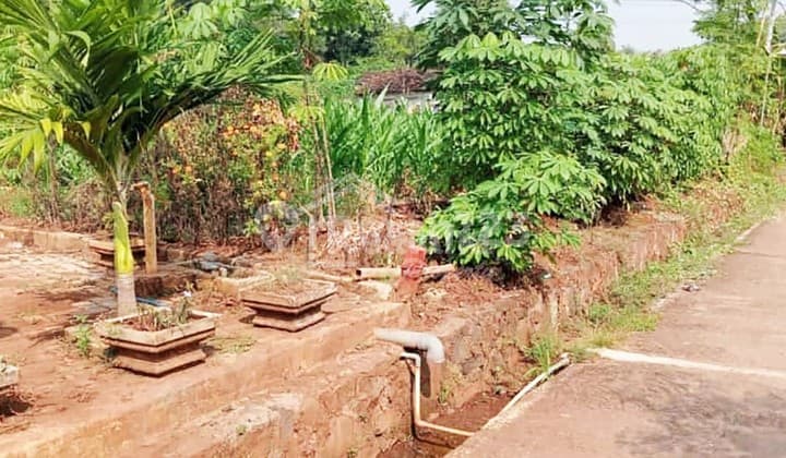 Tanah di daerah Plelen Gringsing , Batang ( Me 7681 )