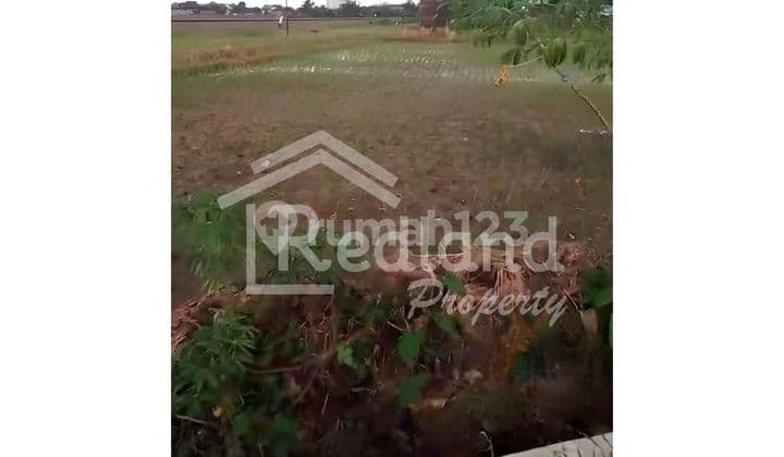 Tanah di Daerah Pulosari , Karanganyar ( Jo 8454 )