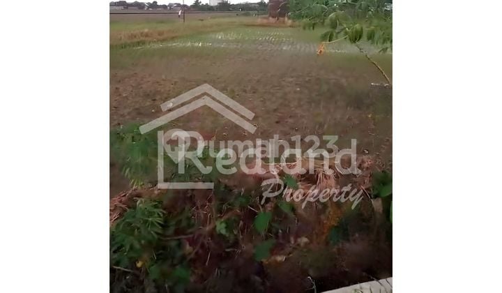 Tanah di Daerah Pulosari , Karanganyar ( Jo 8454 )