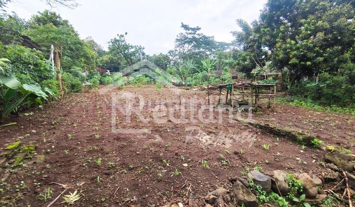 Land on Jl Raya Rawosari, Meteseh Boja (Jo 8555)