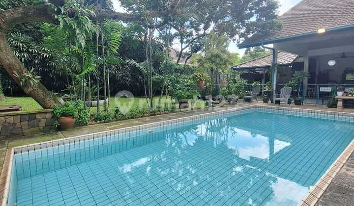 Rumah Tropucal di Cilandak Dengan Halaman Luas Dan Private Pool Lay Out Lapang Open Space