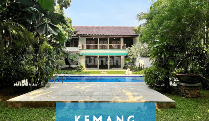 Rumah Bagus Tanah dan Halaman Luas Kemang Private Pool