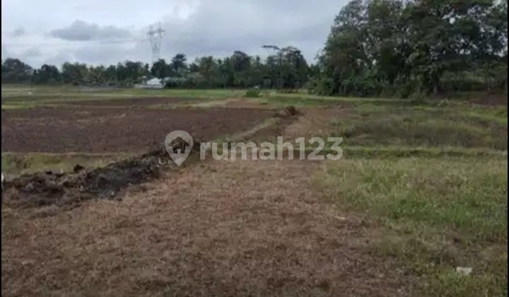Jual Cepat Tanah Strategis Serang Banten