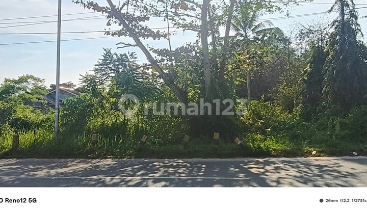 Dijual Tanah Luas 3.975 M2 Lokasi Strategis di Jalan Utama Teritip - Balikpapan