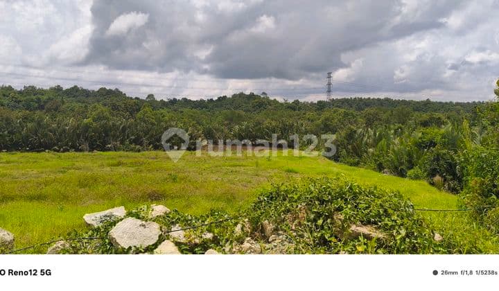 Disewakan Lahan 1 Hektar Di Kawasan Industri Kariangau Km 13 Balikpapan