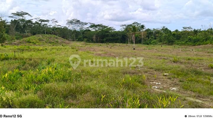 Dijual Tanah Kavling 750 M2 Lokasi Strategis Jl. Mukmin Faisal Balikpapan