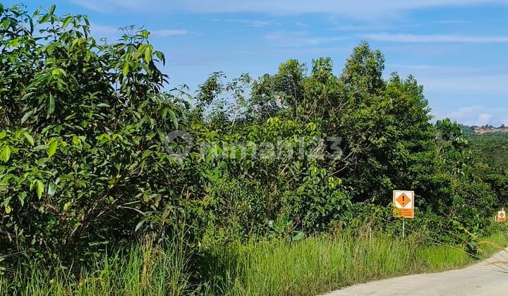 For Sale: 11,170 M2 Large Plot in Kariangau Industrial Area Km 13, Balikpapan