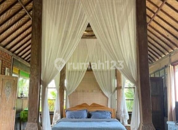 For Rent Villa Rice Field View Ubud , 10 Menutes From The Center Of Ubud Gianyar, Mongkey Fores. Ubud In The Middle Of The Rice Fields Sunset View Of The Most Beautiful
