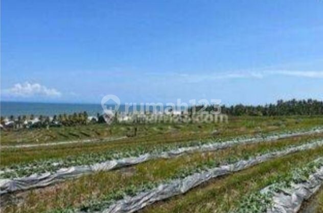 Dijual Tanah Dekat Pantai Klecung Banjar Bobali Selemadeg Timur Tabanan Bali Indonesia Strategis 10 Menit Ke Pintu Tol Soka Antasari Tabanan