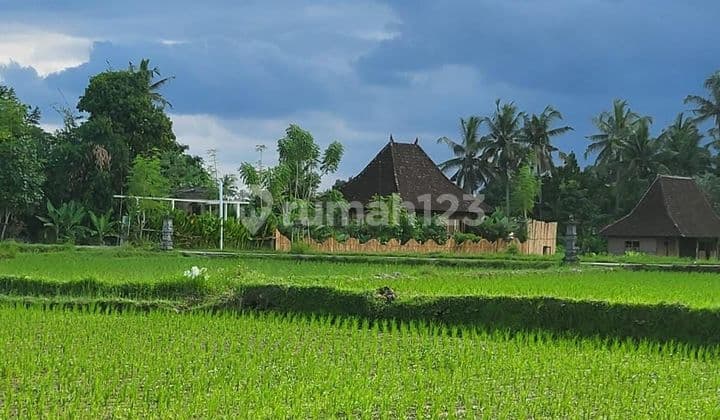 Villa for rent 10 minutes to Central Ubud monkey forest 40 minutes to Canggu Bali Indonesia strategic 3 minutes to RUsters Kafe Sayan Ubud Gianyar