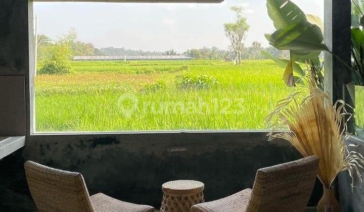 For Rent Villa Rice Field View 10 Menutes Feom Central Ubud Gianyar Bedroom Villa Available December 3 And Available Now 1 Bedroom With Natural Panoramic Views Of The Most Beautiful Rice Fields In Ubud, Feel The Sensation Near Varvara Internasional School