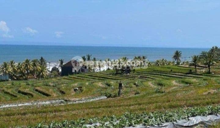 Dijual lahan selemadeg timur' Luas 1460 meter view laut hanya 10 menit dari akses Pintu TOL Soka Antosari Tabanan
Lokasi 35 menit ke pantai Canggu tanah Lot
10 menit dari Pantai klecung
30 menit dari pantai Gangga Tabanan,
1 Km dari pantai Klecung, 800 m