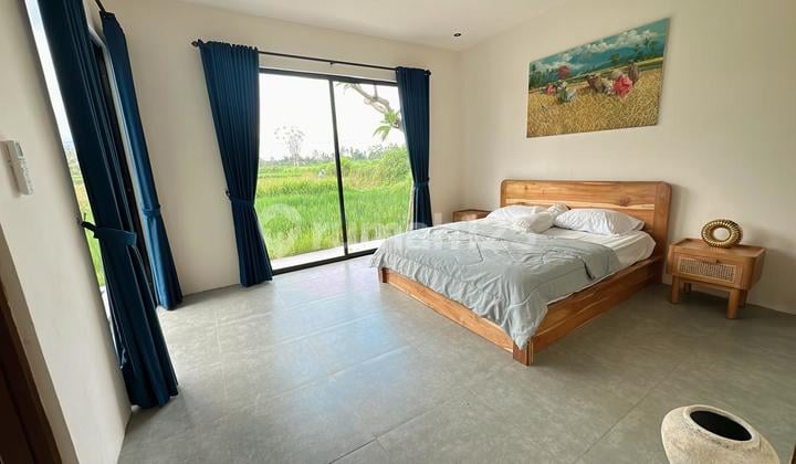 For Rent Villa Rice Field View Strategis 10 Menutes From Mongkey Forest Center Ubud Bali Villa 2 Bedroom Rice Field View 10 Menutes From Mongkey Forest Sentral Ubud Gianyar, You Feel The Natural Beauty Of Ubud Which Is Very Authentic 10 Menutes From Mongk