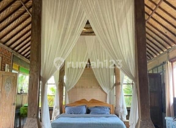 For Rent Villa Rice Field View Ubud Gianyar Bali Indonesia Strategic 10 Minutes From Mongkey Forest Central Ubud 40 Minutes To Canggu Bali