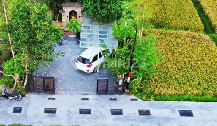 For rent Villa rice field view Sayan Ubud 10 menutes from mongkey forest center ubud 40 menutes from Canggu Nyanyi beach Tanah Lot tabanan Bali Indonesia in the middle of rice fields 10 menutes from Central Ubud Bali Indonesia rice field view