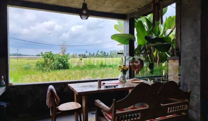 For Rent Villa Rice Field View 10 Menutes From Mongkey Forest Center Ubud Bali Indonesia Strategis 40 Menutes From Tanah Lot Canggu Nyanyi Beach Canggu 5 Menutes From Rusters Kafe Sayan Only 10 M Per Month Free Electricity Free House Keeping