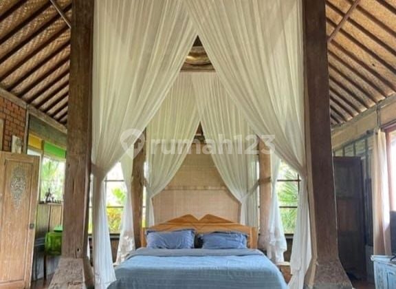 For Rent Bungalow Rice Field View Quite In Ubud Gianyar 10 Menutes From Mongkey Forest Sentral Ubud Gianyar Bali 40 Menutes From Canggu Nyanyi Beach Club Bali Indonesia