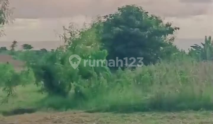 Dijual Tanah Dekat Pantai Bagus Untuk Di Bangun Villa 10 Menit Dari Pintu Tol Soka Mengwi Badung Bali Indonesia 800 Meter Dari Garis Pantai Laut Kelihatan Jelas Sekali