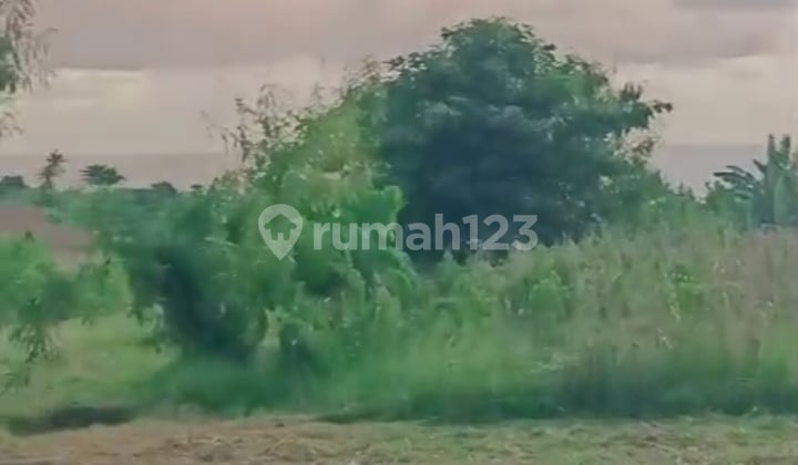 For sale, a plot of land ready for building a villa, 10 minutes from the Soka Mengwi Toll Gate in Badung, Bali, Indonesia, 800 meters from the coastline with a clear view of the sea.