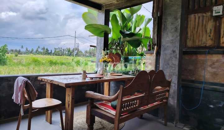 For Rent Villa Rice Field View 10 Menutes From Mongkey Forest Center Ubud Bali Indonesia Strategis 40 Menit From Canggu Nyanyi Beach Tanah Lot