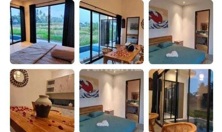 For Rent Villa Very Strategic Location The Middle Of A Large Rice Field, Quiet , Rice Field View Sayan 10 Menutes From Central Ubud Gianyar, Mongkey Forest Sentral Ubud Gianyar Bali Information Call Wayan What's Up +62859xxxxxxxx , Villa 2 Bedroo