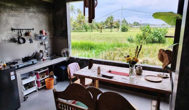 For Rent: Villa with Rice Field View, 10 Minutes from Monkey Forest Center Ubud Bali, 40 Minutes from Tanah Lot, Canggu, Nyanyi Beach Canggu, 5 Minutes from Rusters Kafe. Price: 11 Million Per Month, Free Electricity, Free House Keeping with 2 Cleaning Visits per Week, 10 Minutes from...