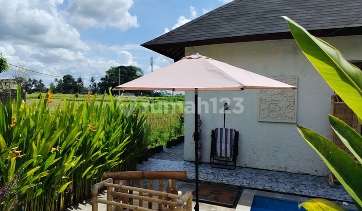 For Rent Villa Ubud with Rice Field View Ubud Gianyar Bali Indonesia rice field view and mountain Agung 40 menutes from Canggu