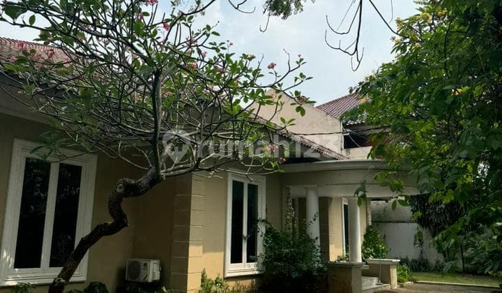 Nice House In Cipete