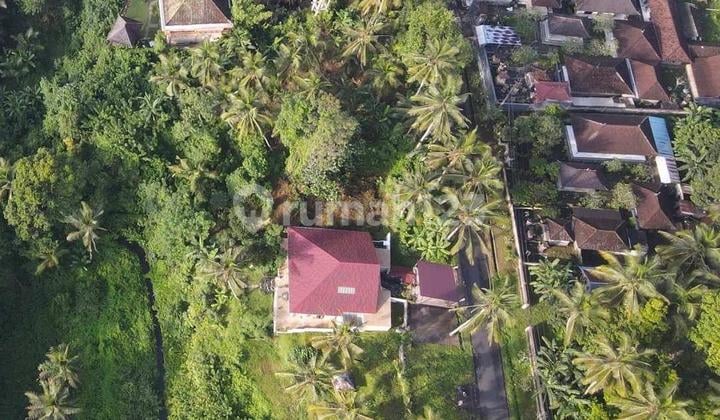 Termurah... Hanya 2jt M2 Tanah di Samplangan Gianyar Ubud..