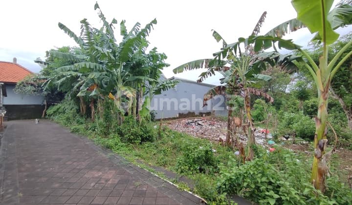 Disewakan 20-25Tahun di Kuta Selatan Dekat Pantai Melasti