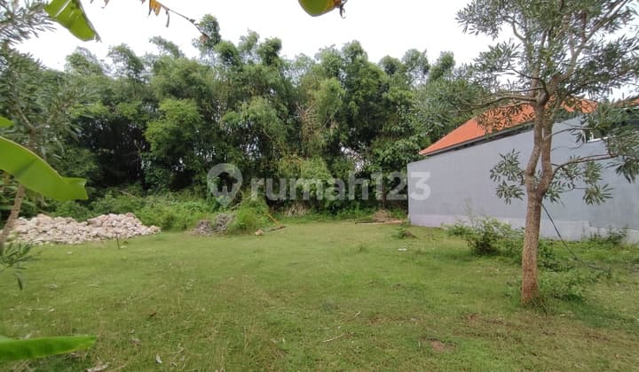 Disewakan 20-25Tahun Tanah di Mundeh Dekat Stp.