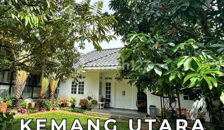 Rumah Sangat Asri Lokasi Premium Bisa untuk Komersial Kemang Utara Jakarta Selatan